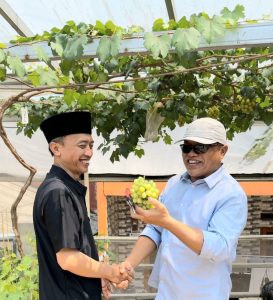 Wakil Ketua PCNU Kota Depok Bidang Ekonomi, H. Acep Azhari, Menyambut Baik Kehadiran ASPAI Kota Depok.Dukung Swasembada Anggur Mulyandari Siap Jadi Ikon Baru