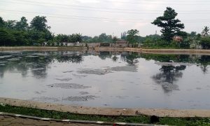 Situ Bahar Perlu Perhatian: Warga Keluhkan Kondisi Air Kotor dan Bau Menyengat