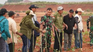 Wartawan Depok dan Kodim 0508 Bersinergi Tanam Koro Pedang untuk Ketahanan Pangan