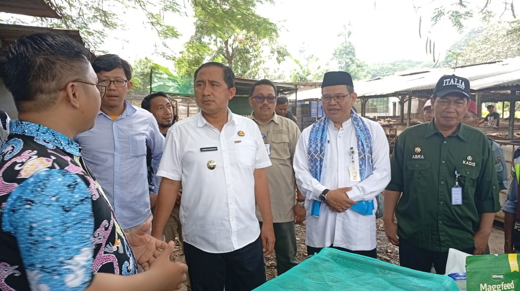 Wakil Wali Kota Depok Tinjau Industri Budidaya Maggot di Jatijajar, Upaya Inovatif Pengelolaan Sampah Organik