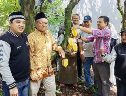 Panen Raya Belimbing di Cimanggis Di Hadiri Camat Dodi Setiawan.