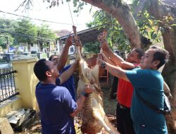 Fraksi PKB dan Sekretariat DPRD Depok Gelar Pemotongan Hewan Kurban: Wujud Syukur dan Kebersamaan