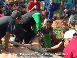 Yayasan Rumah Berkah Nusantara Distribusikan Hewan Kurban ke Tujuh Daerah