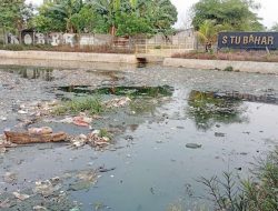 Situ Bahar Kembali Hitam dan Berbau, Warga Depok Tuntut Tindakan Nyata Bukan Sekadar Kunjungan Pejabat