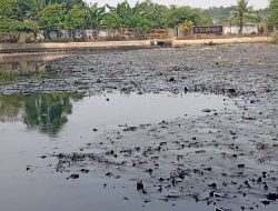 DLH Depok Soroti Pencemaran Situ Bahar: Diduga Limbah Domestik, Pemkot Siapkan Langkah Lintas Wilayah